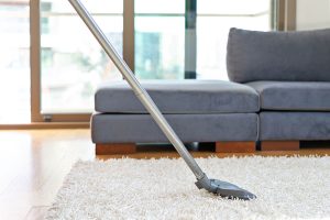 Professional Carpet Cleaning Cook County